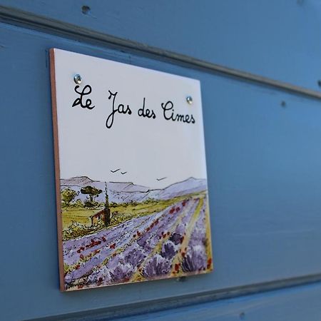Le Jas Des Cimes, Maison De Hauts Vols Mison Экстерьер фото
